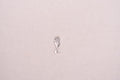 Fish charm