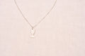 Fish necklace