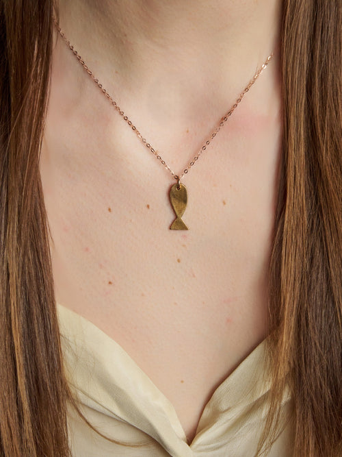 Fish charm